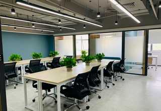 江苏纸球上门切纸